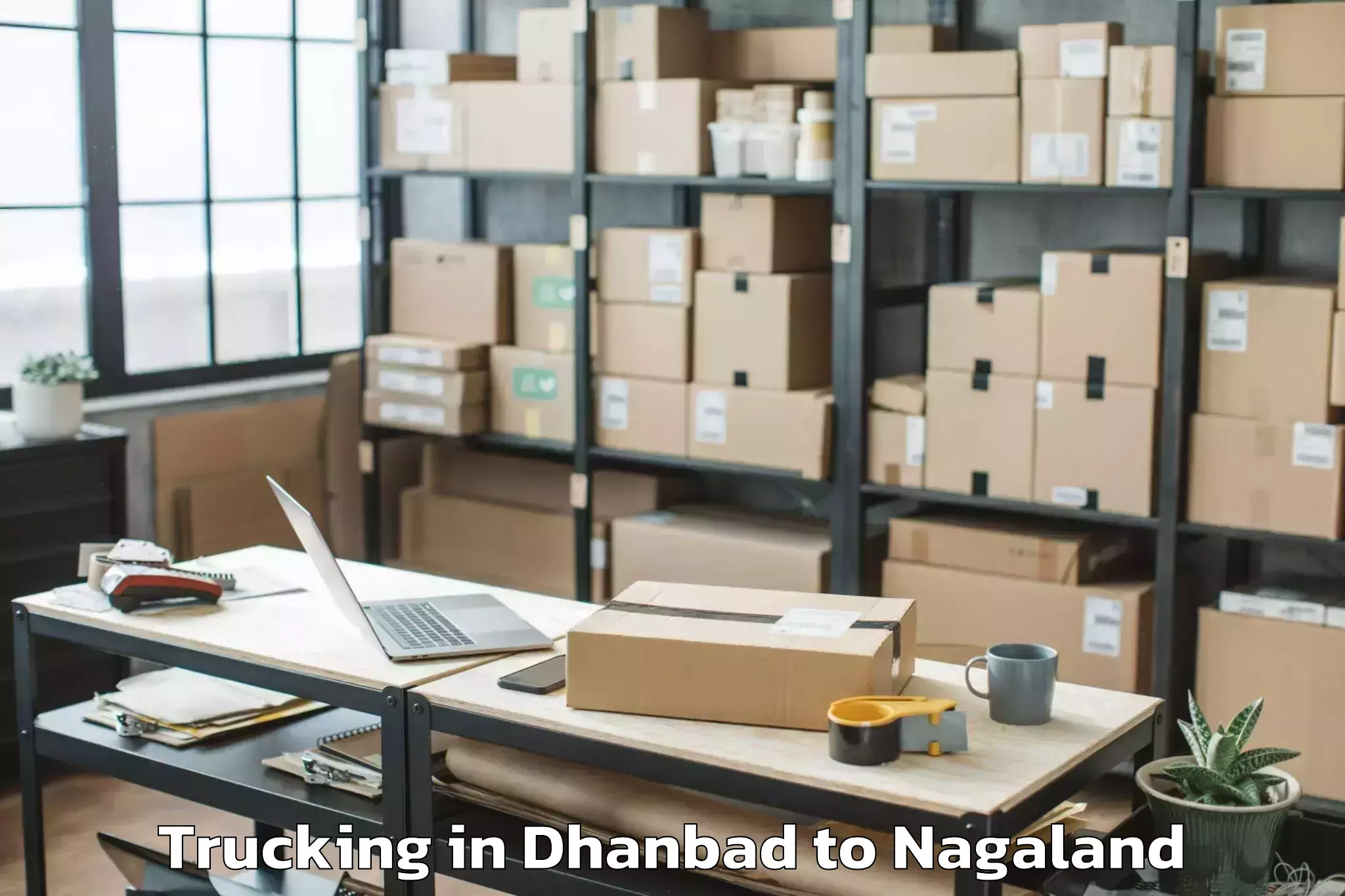 Affordable Dhanbad to Longmatra Trucking